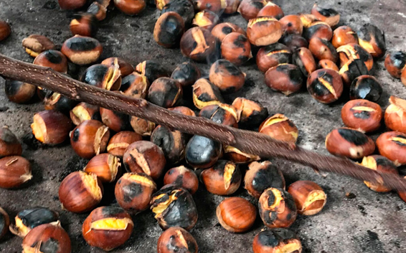 Castañas asadas típicas del Magosto