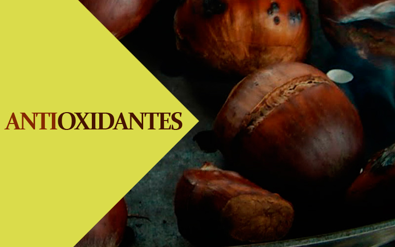 Propiedades antioxidantes de las castañas