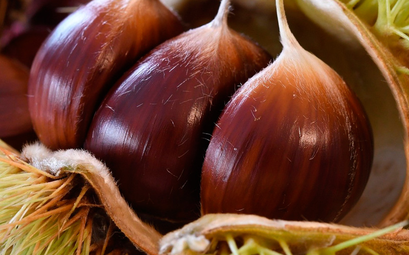 Castañas ricas en fibra para mejorar la digestión