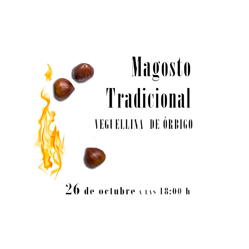 Qué es el magosto